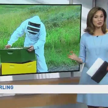 ABC7 visits Mason's Honey Bee Initiative at I-95 landfill