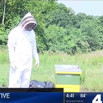 NBC4 highlights Honey Bee Initiative